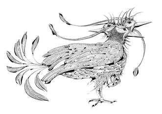 pen-and-ink illustration of a three-headed bird © Rae St. Clair Bridgman